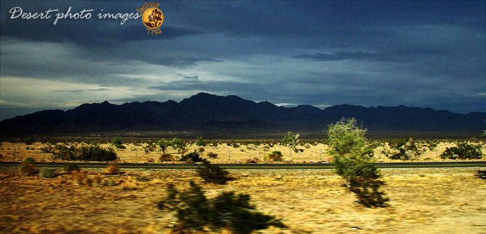 Desert Freeway