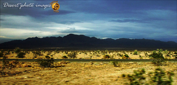Desert Freeway