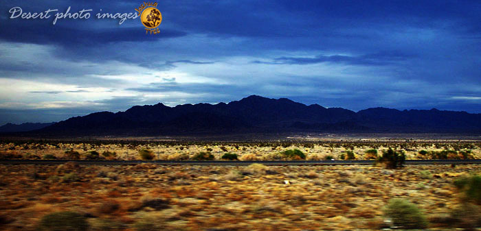 Desert Freeway
