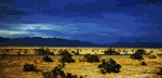 Desert Photography