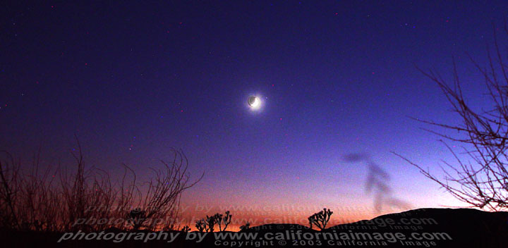 Desert Night 