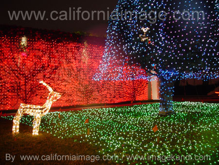 Holiday Lights in Los Feliz