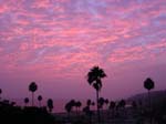 Palms Pink Sunset by californiaimage.com